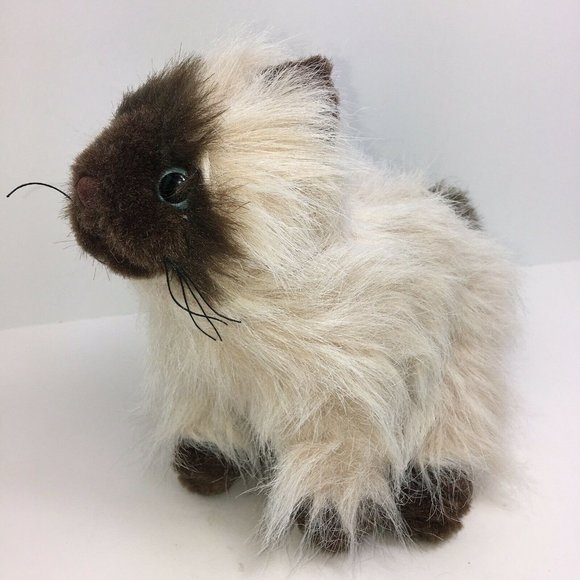 Ganz Webkinz Himalayan Cat 8" Plush Long Hair White Brown No Code Kitten - Picture 4 of 12